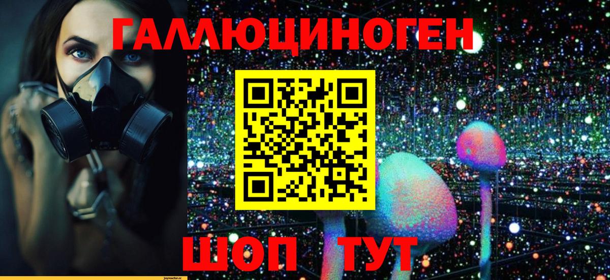Галлюциногенные грибы GOLDEN TEACHER Тимашёвск
