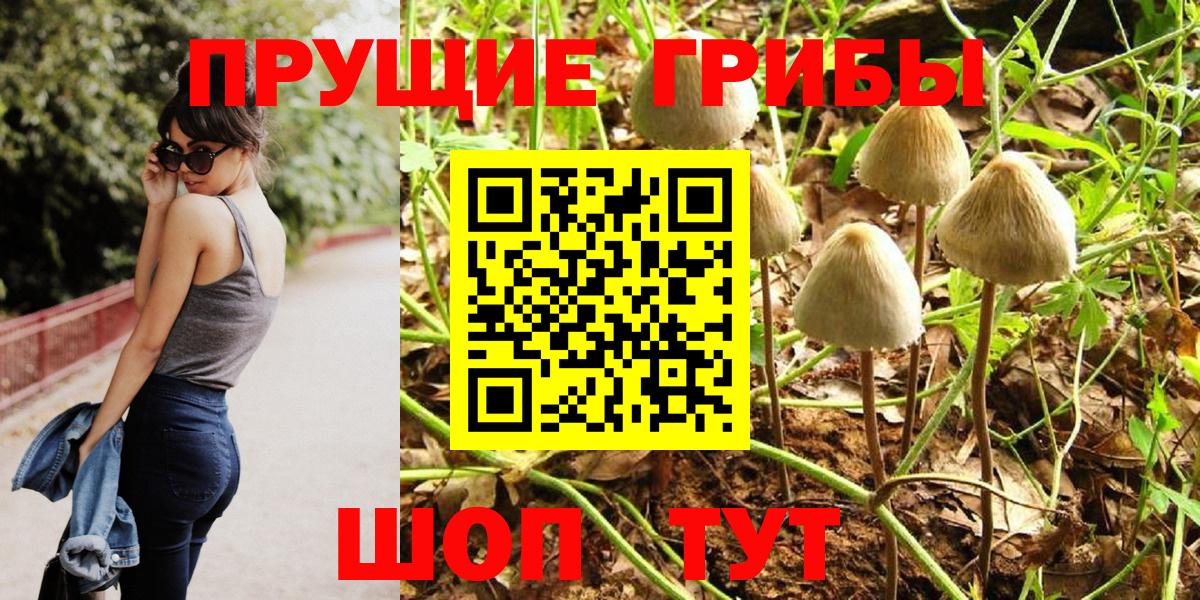 Тимашёвск  Псилоцибиновые грибы Psilocybine cubensis  Вход с VPN 